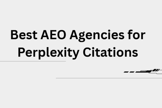 10 Best AEO Agencies for Perplexity Citations in 2026
